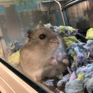 Meet your Posher, Kylee